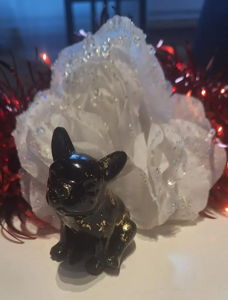 Bulldog Français (Blanc intense n°1, Blanc intense n°1)