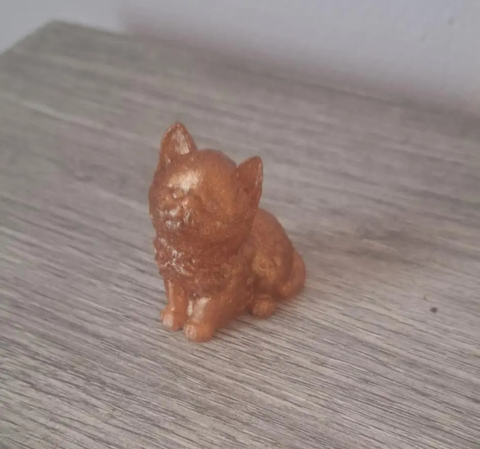 Chaton (Blanc intense n°1, Blanc intense n°1)